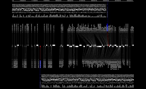 Ryoji Ikeda at Barbican