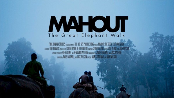 * Mahout premiering at LIFF